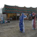 Vraj-Yatra-2014- (584)